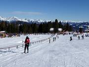 Baby - Rope tow/baby lift with low rope tow