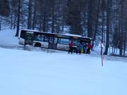 DolomitiBus