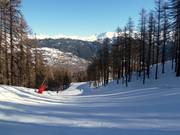 Typical valley run through the forest