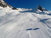 Descent from Schermer