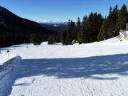Easy and wide slope Toler in Obereggen