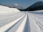 Perfectly groomed cross-country trails