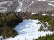 Mogul slope in the Killington ski area