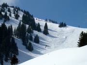 Space for freeriding