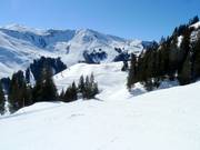 View of the slopes at Steinbergkogel