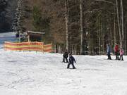 Kirchberglift 3 - Rope tow/baby lift with low rope tow