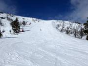 Difficult slope Toppbranten