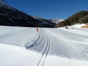 Cross-country trail at Reschen Pass