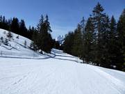 Easy connecting slope from Hornberg to Schönried
