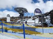 Telemark T-Bar - T-bar