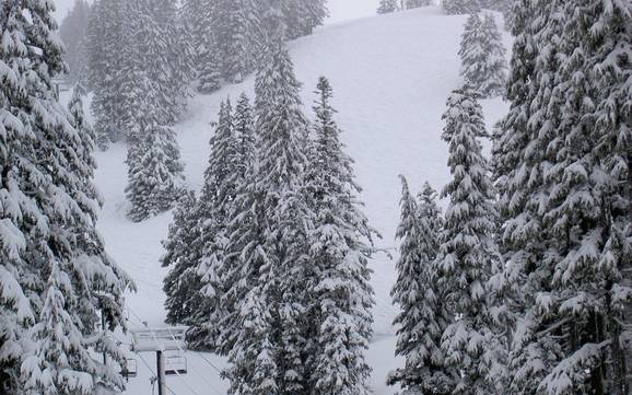 Best ski resort on Mount Hood  – Test report Mt. Hood Meadows