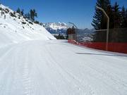 Streif Family Run No. 21