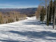 Red's Rover downhill run