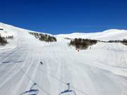 Numerous slopes lead back to the Myrkdalsekspressen