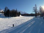 Wide, clearly visible slopes