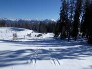 High-altitude trail Roßbrand