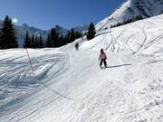 Flaxi's Ski Cross course