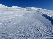 Perfectly groomed slope in the Alpe Lusia ski area