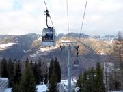 Marilleva 900 (Contrè-Malga Copai) - 12pers. Gondola lift (monocable circulating ropeway)