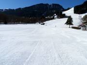 Slope at the Rasmusleiten practice lift