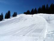 Easy slope at Weiherkopf