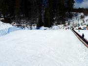 Beginner slope in the Owl Learning Area