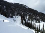 Runs It´s a Ten and Blaster