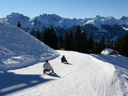 Hochjoch toboggan run