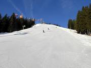 Knobel FIS slalom course