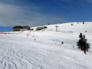 Treeless slopes at the summit of Belchen