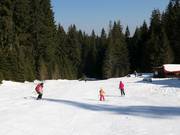 Easy slope 7 in the ski resort