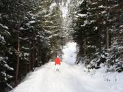 Valley run - connecting trail from the valley station of the Mauritz double chairlift