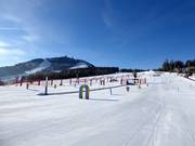 ArBär Children's Area with a view of the Arber