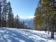 Tombstone downhill run