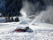 Snowmaking operation using lance and cannon