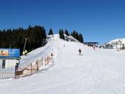 Practice lifts on the mountain at Hornspitz