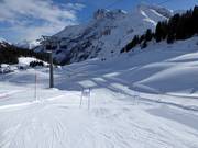 Pauli's Snow World Warth