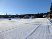 Wide and easy slope in Zieleniec