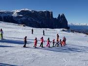 One of many ski lessons on the Alpe di Siusi (Seiser Alm)