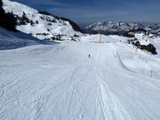 Easy slope at the Sternegg ski lift