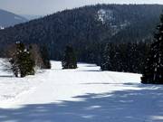 Vorderdorf run to the Rehbach drag lift