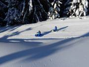 Tip for children  - “Bärenritt” toboggan run
