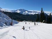 Beginner area at the mid-station