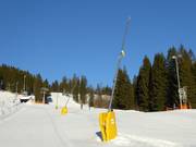 Snow lances at Lyrahang