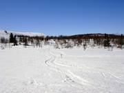 Endless cross-country trail options