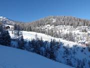 View of the easy slope at the platter lift