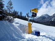 High-performance snow cannon in the Panorama ski area