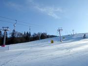 C. Kotva-Yourpark - T-bar