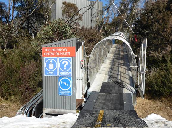 The Burrow Snow Runner