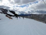 Easy valley run Wombats Ramble